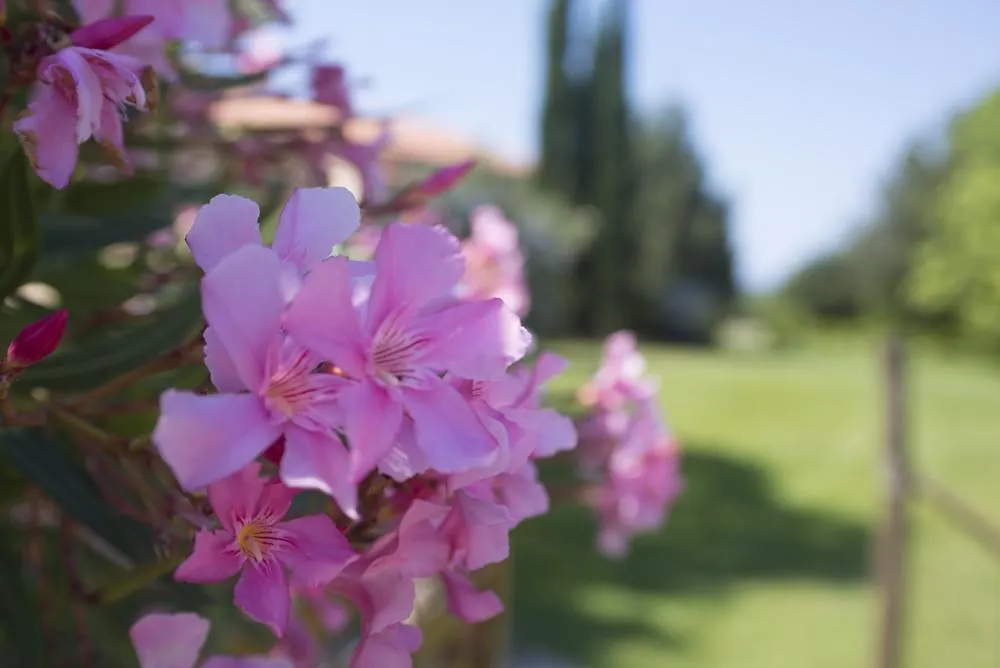 Agriturismo Le Vallette Bibbona